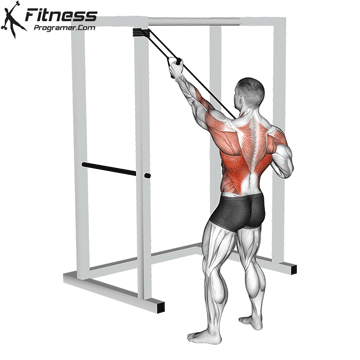 Band Alternating Lat Pulldown » Workout Builder Band Alternating Lat Pulldown » Workout Builder