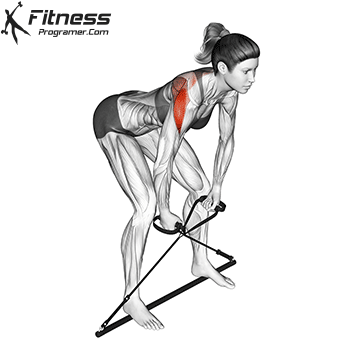 Bent Over Rear Delt Fly | Gymstick » Workout Planner