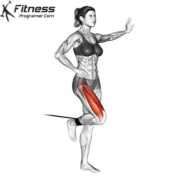 Rutina Tren Inferior Bandas Elásticas » Workout Routine Created By