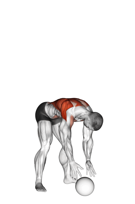 Plyometric Training Program A StepbyStep Guide