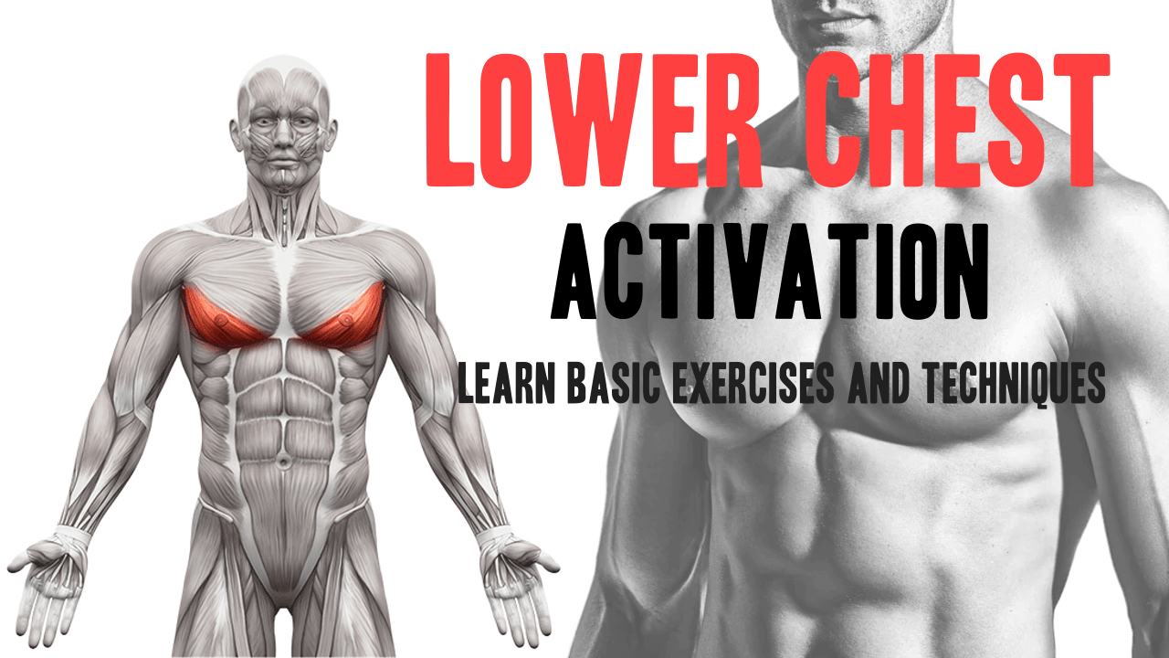 Lower Chest Activation Learn Basic Exercises And Techniques