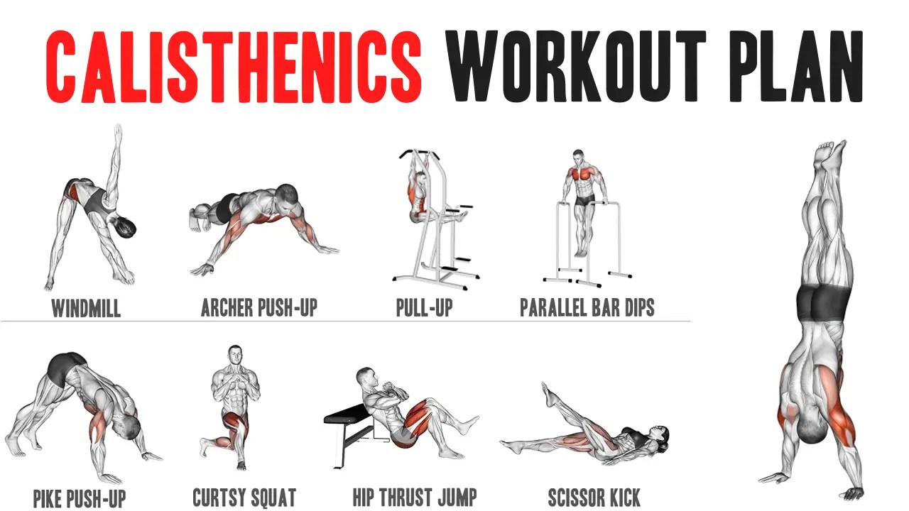 Are You Looking For A Perfect Calisthenics Workout Plan?