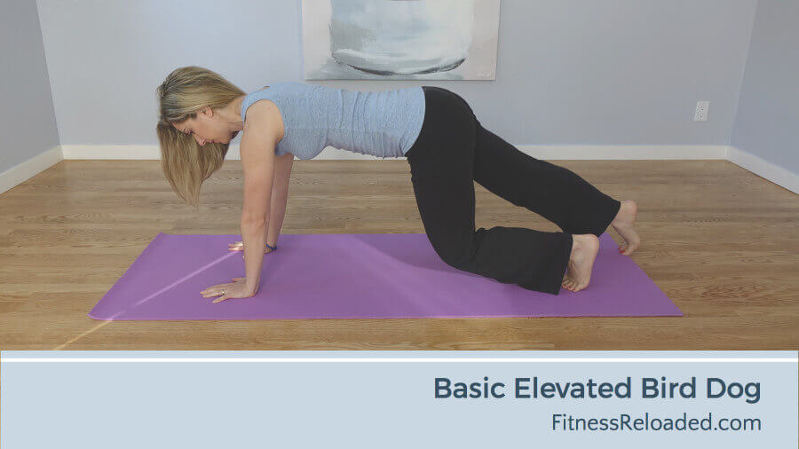 Bird Dog Exercise 10 Variations From Beginner to Advanced. (video