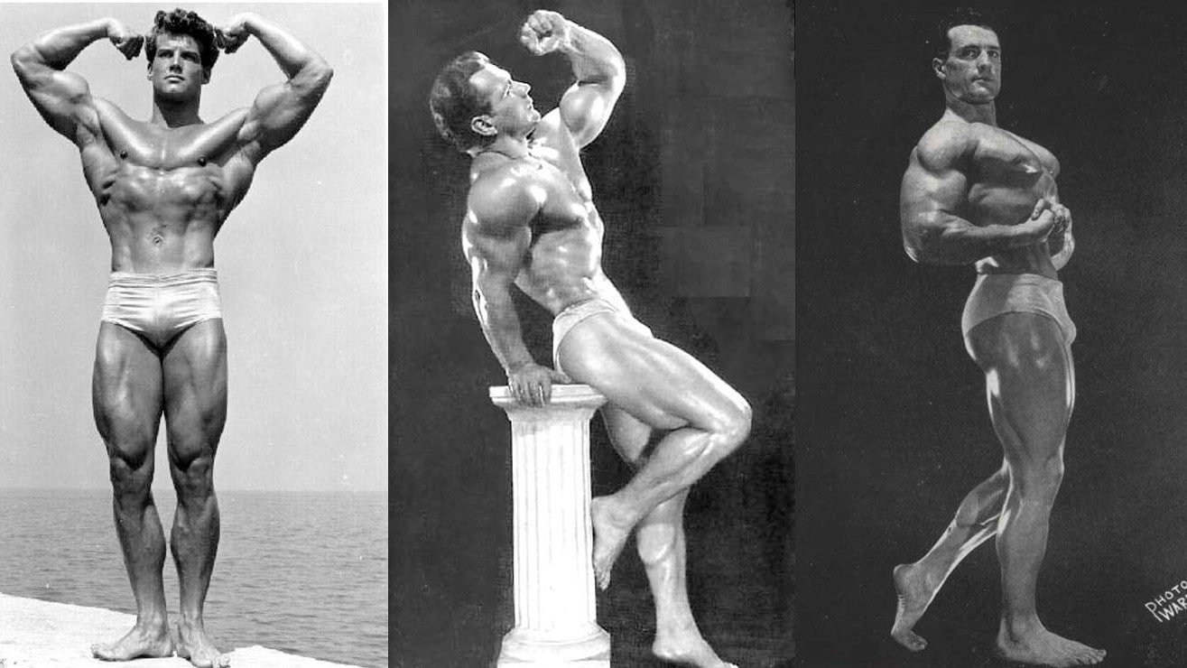 Best Full Body Workout Routine Bodybuilding Competition Kayaworkout.co