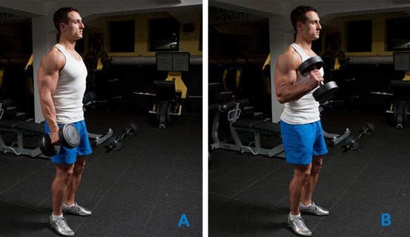 Killer Biceps Top 10 Best Biceps Exercises For Size! Fitness Volt