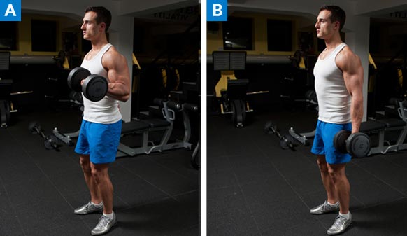 Killer Biceps Top 10 Best Biceps Exercises For Size! Fitness Volt