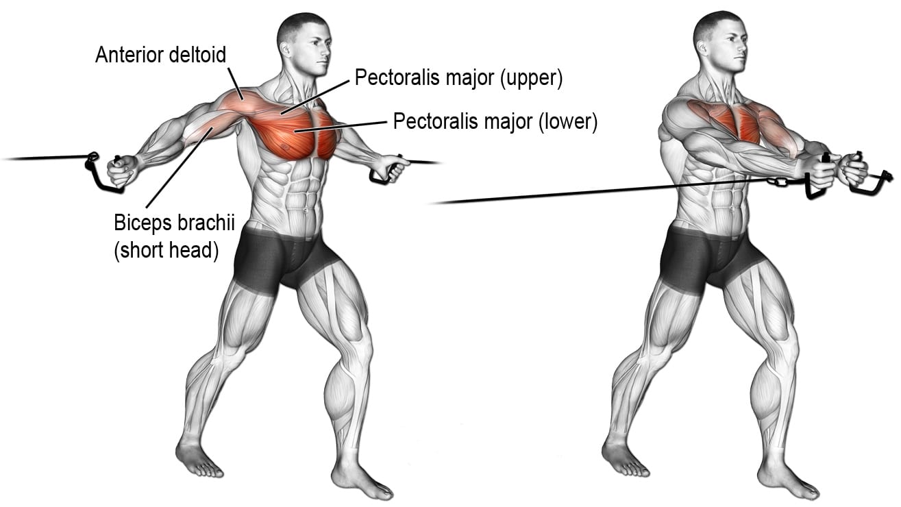 The Ultimate Cable Crossover Guide For Maximum Chest Gains Fitness Volt
