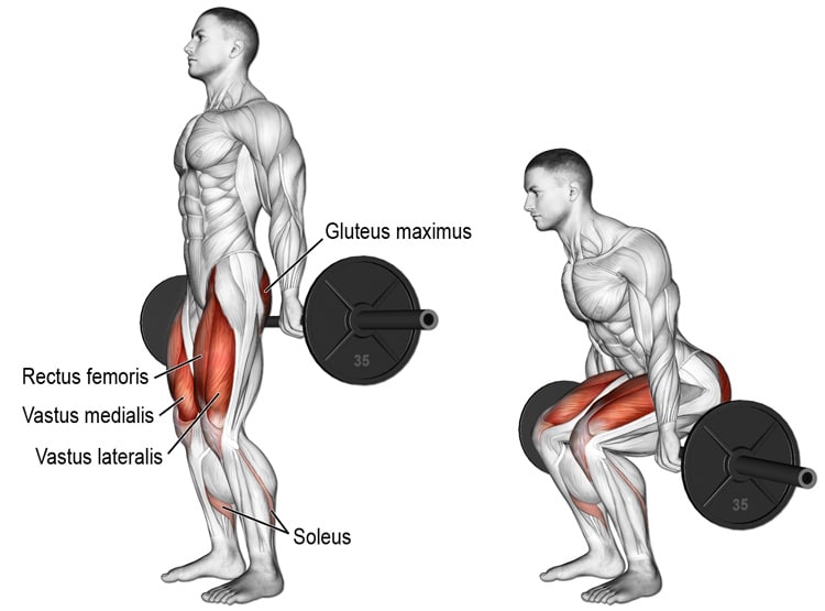 Hack Squat Target Muscles, Benefits, Exercise Instructions, And Variations