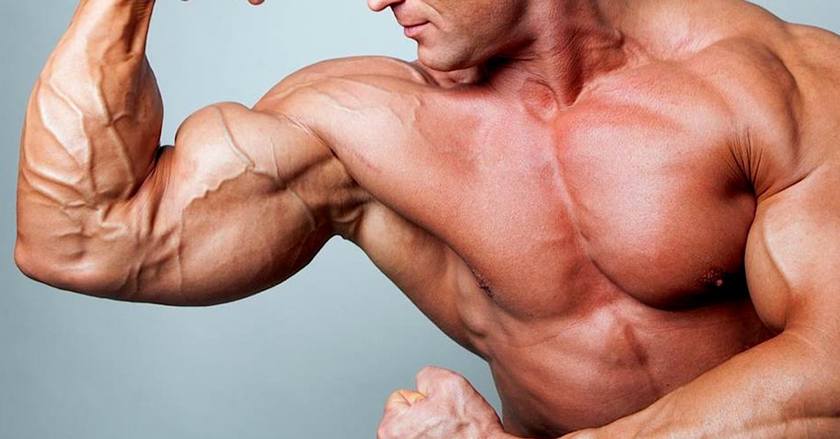 How To Stretch Biceps For Maximum Development and Function Fitness Volt