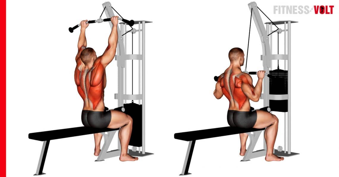 Cable Pulldown Exercise HowTo, Variations, Tips and Video Guide