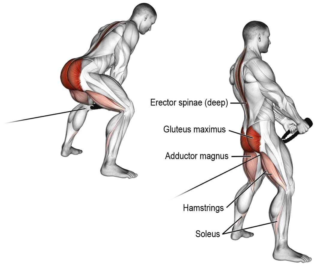 Cable Pull Through Alternatives for Stronger Glutes and Hamstrings