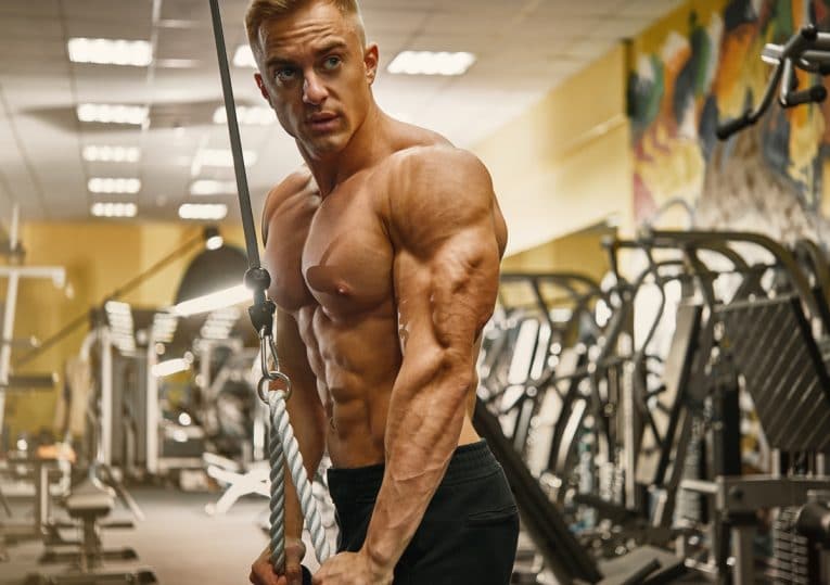 The 11 Best Triceps Pushdown Alternatives Fitness Volt