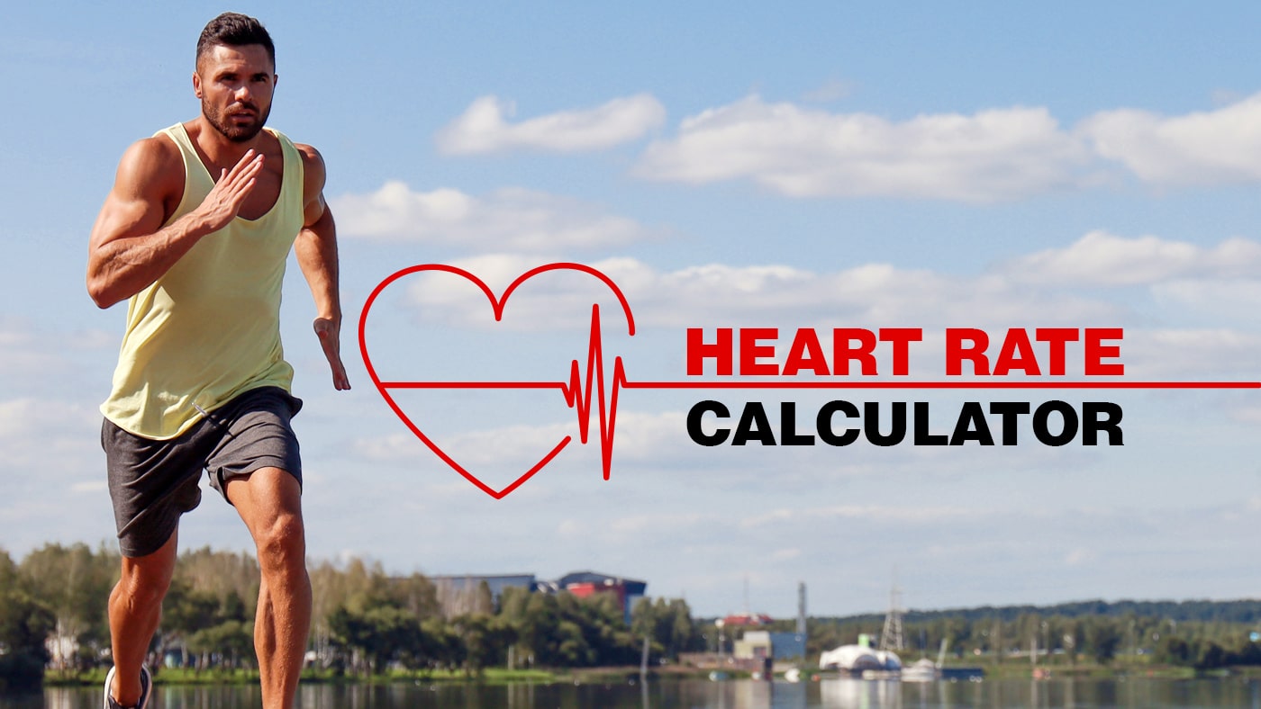 Target Heart Rate Calculator Fitness Volt