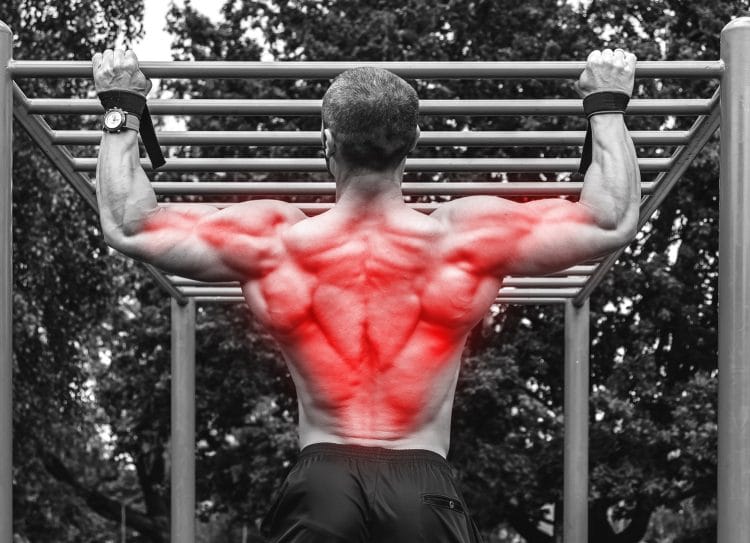 The 13 Best Pull Exercises