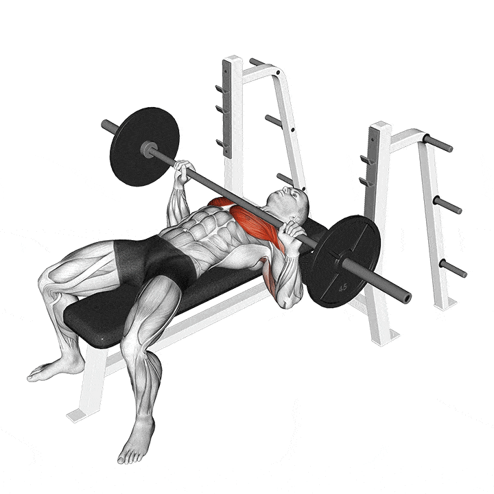 Dips vs Bench Press Which is the Best Exercise for Building Your Chest