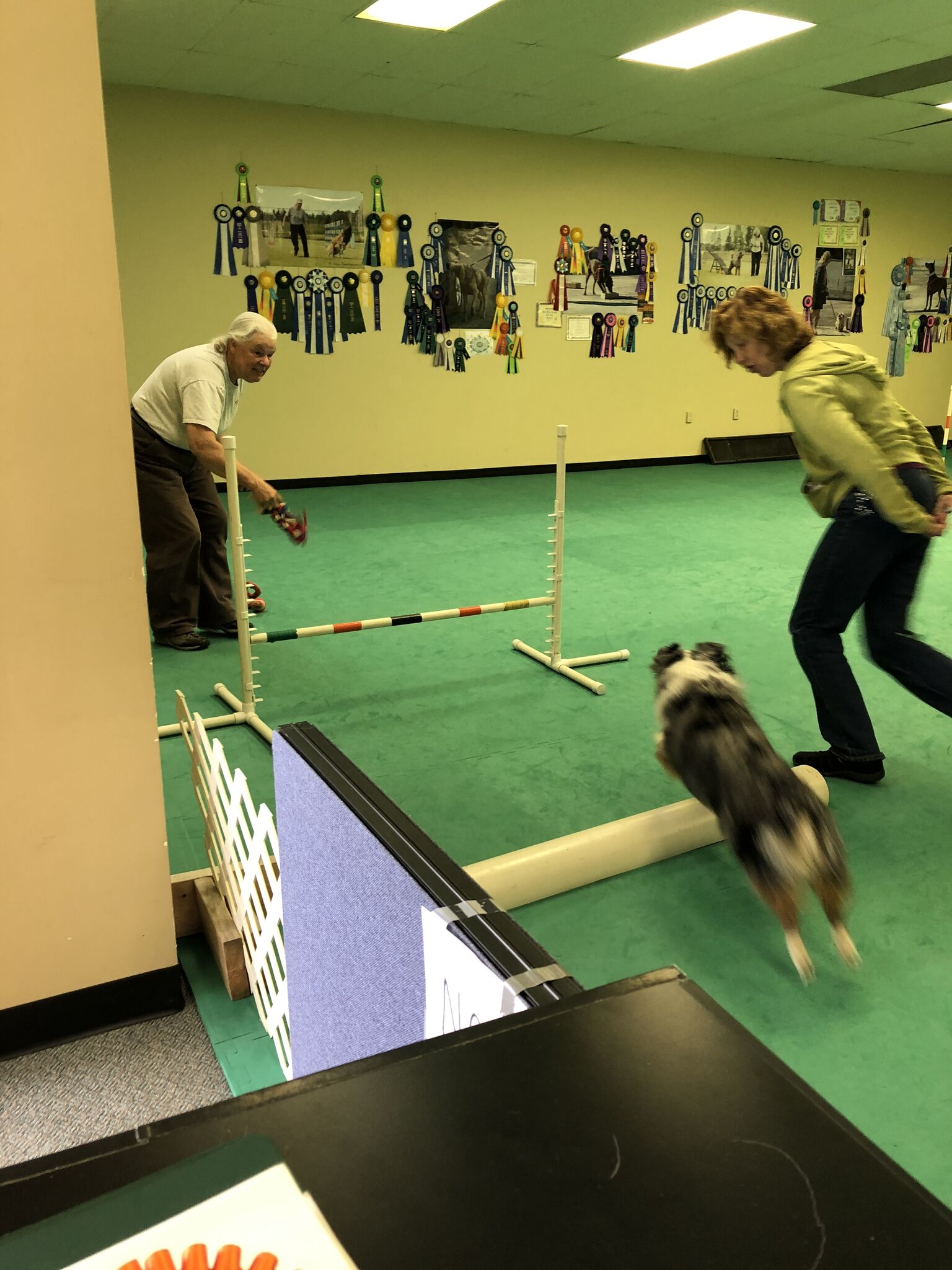 New Agility Flooring Fit Pets