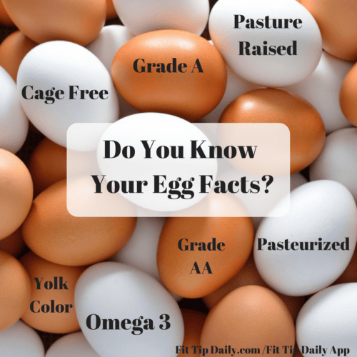 Egg Facts Get Eggicated on Your Purchase Fit Tip Daily