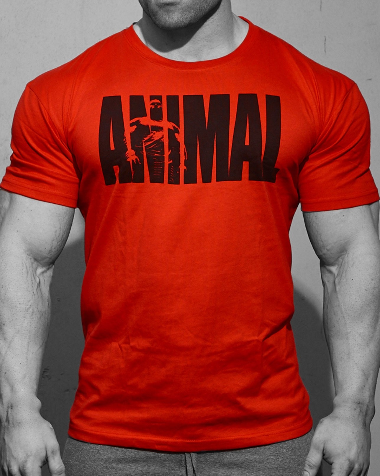 Animal Iconic TShirt • FittShell