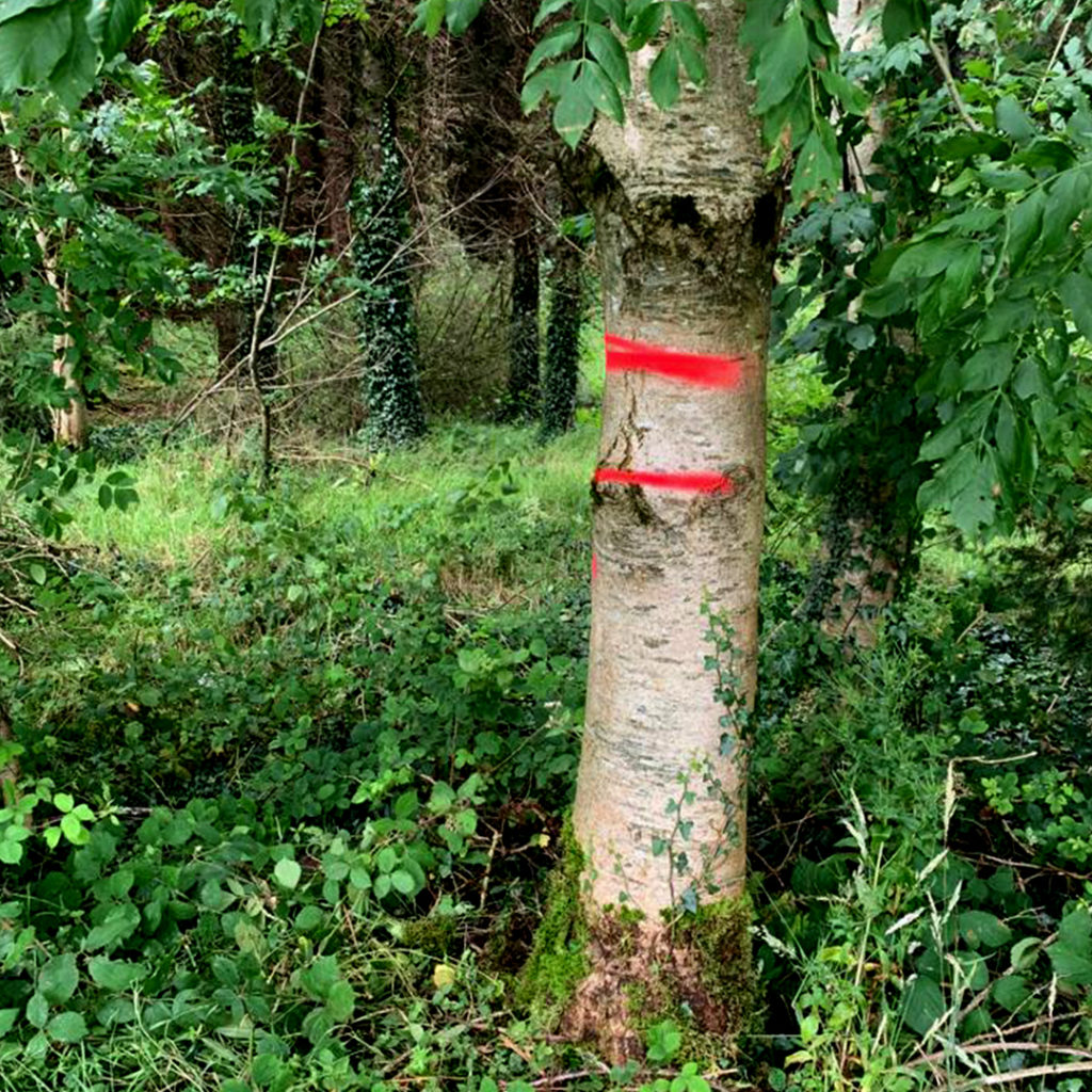 Our process Fitzgerald Hurleys Online