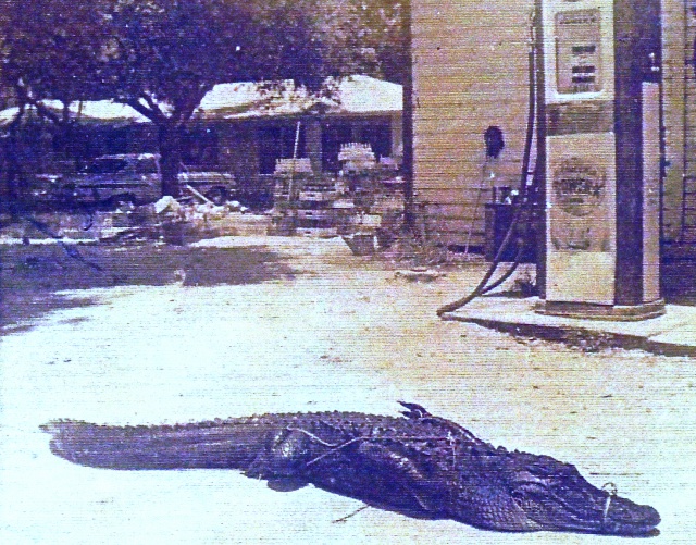 History of Lacoochee, Pasco County, Florida