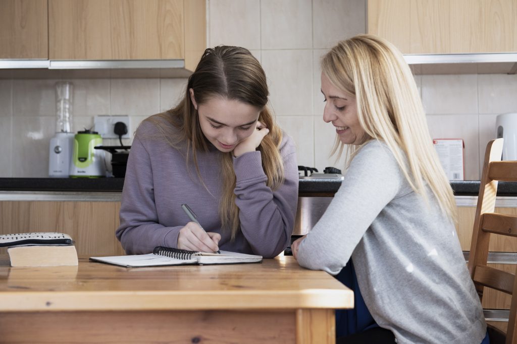 Solution 28 Emergency foster carers urgently needed across