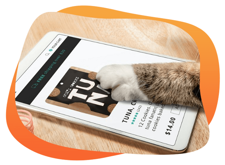 Marketing Strategy GuaranteedResult Pet Store Mississauga FIVE PSBDigital