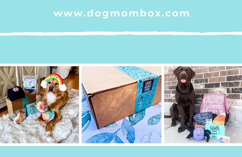 😻 30 Best Pet Subscription Boxes for Dogs & Cats (2022)