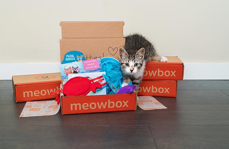 😻 30 Best Pet Subscription Boxes for Dogs & Cats (2022)