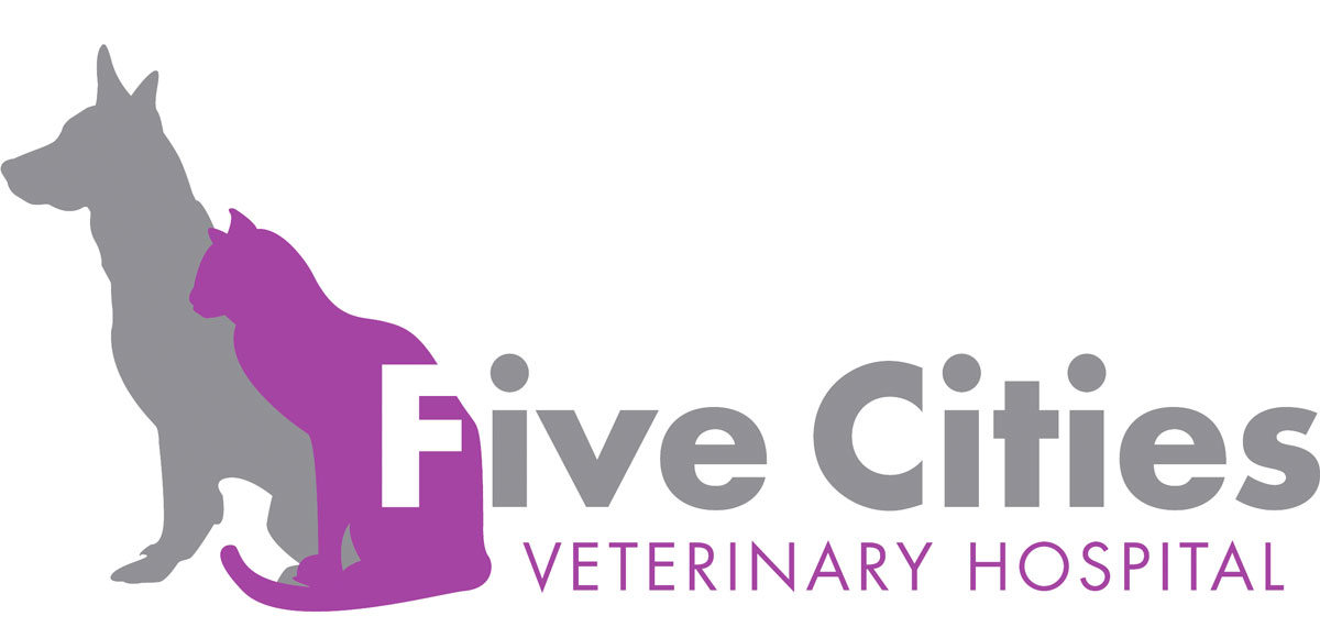 New Client Registration Five Cities Veterinary Hospital