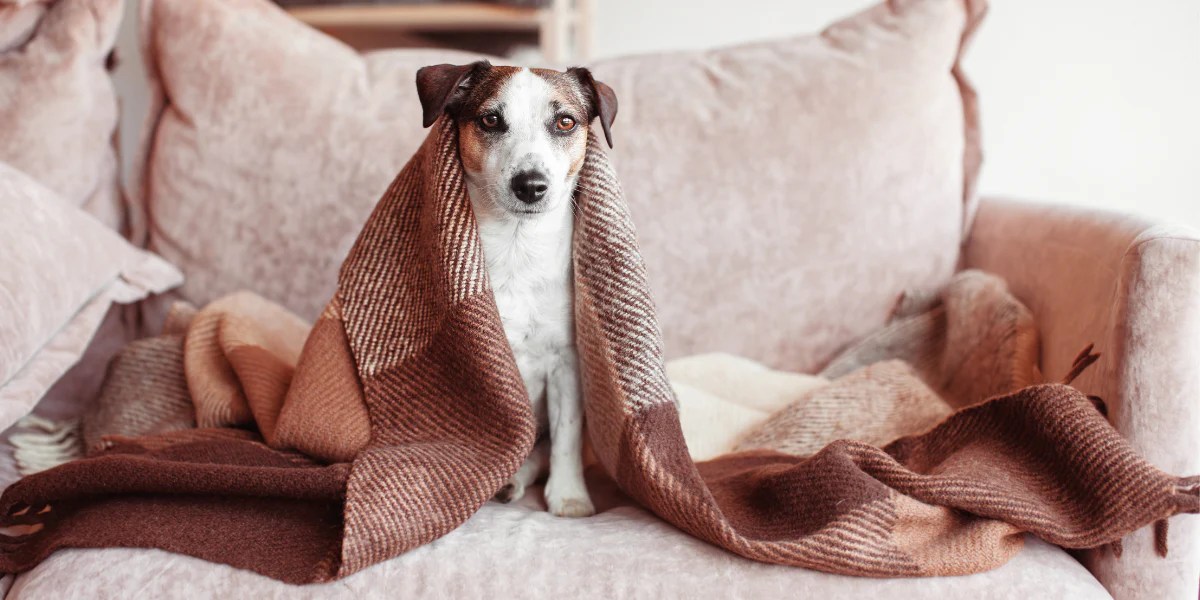 Picking a recylced throw or blanket Five Figs