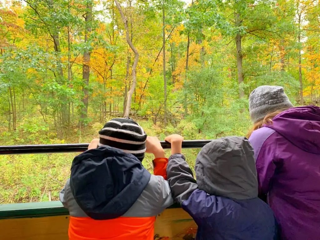 18 Fall Activities in Rochester, NY