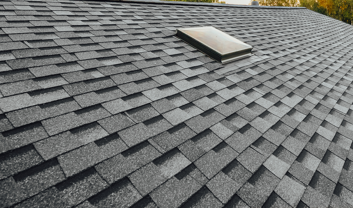 Asphalt Shingles Five Guys Roofing