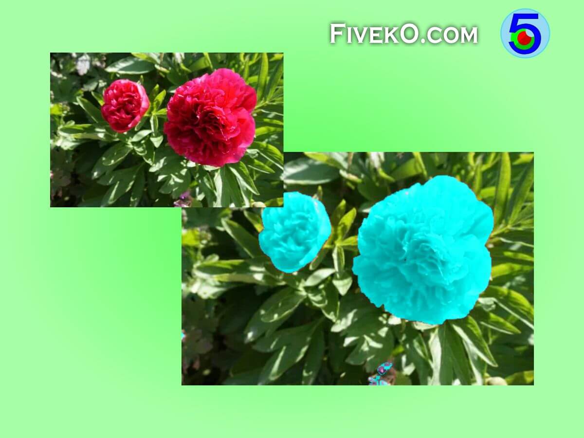 Color Replacement Tool FIVEKO