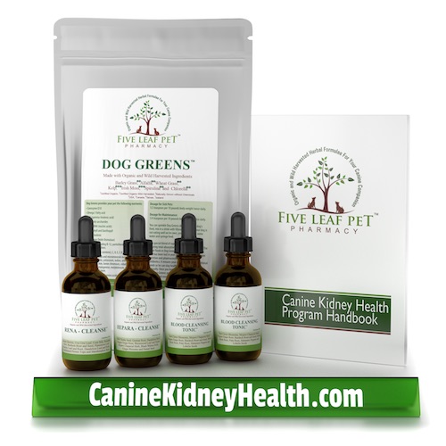 Helping Dogs Get Healthy Five Leaf Pet Botanicals — Five Leaf Pet