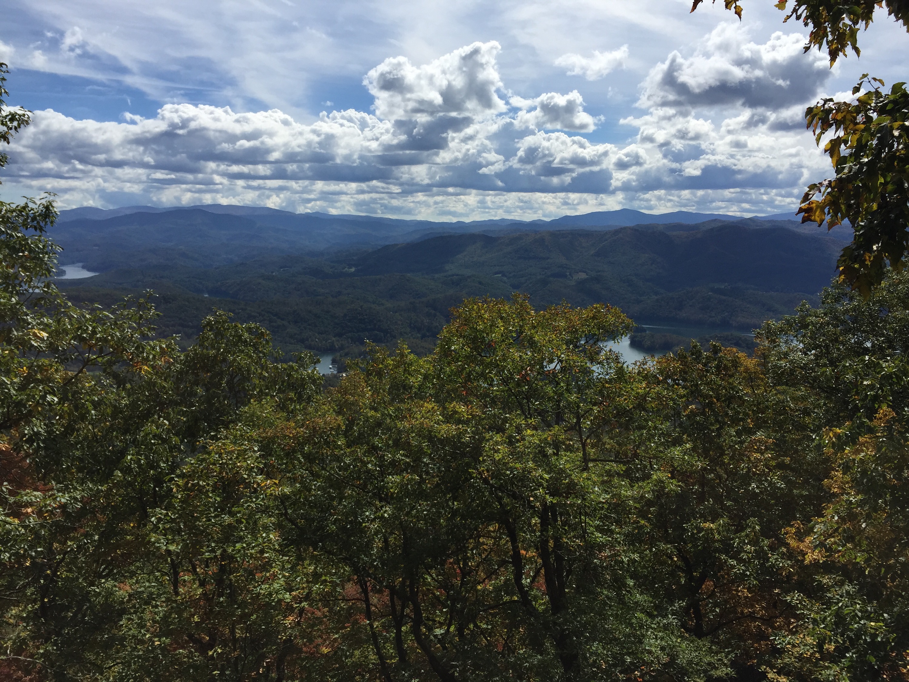 This Is Your Birthday Song, It Isn’t Very Long Five Million Steps to