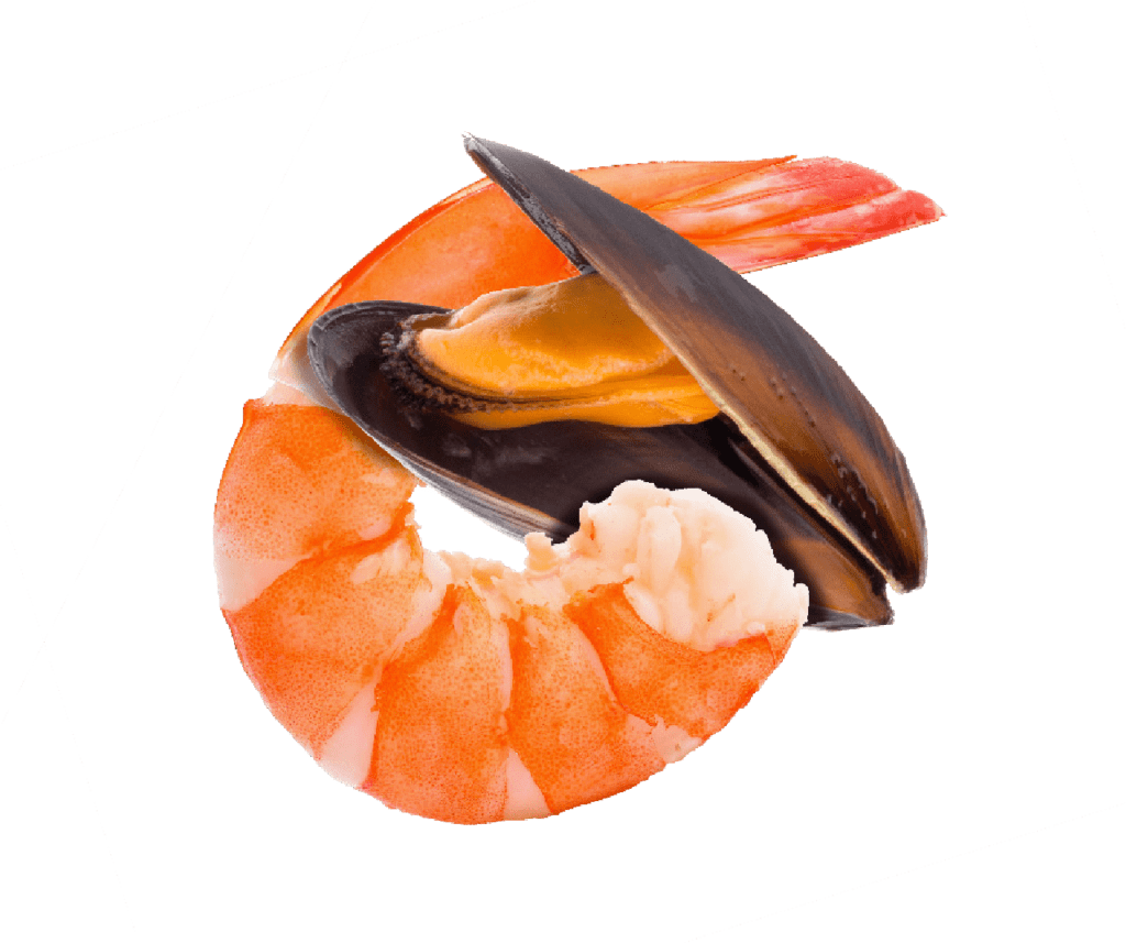 Fruits De Mer English Definition at Sibyl Overall blog