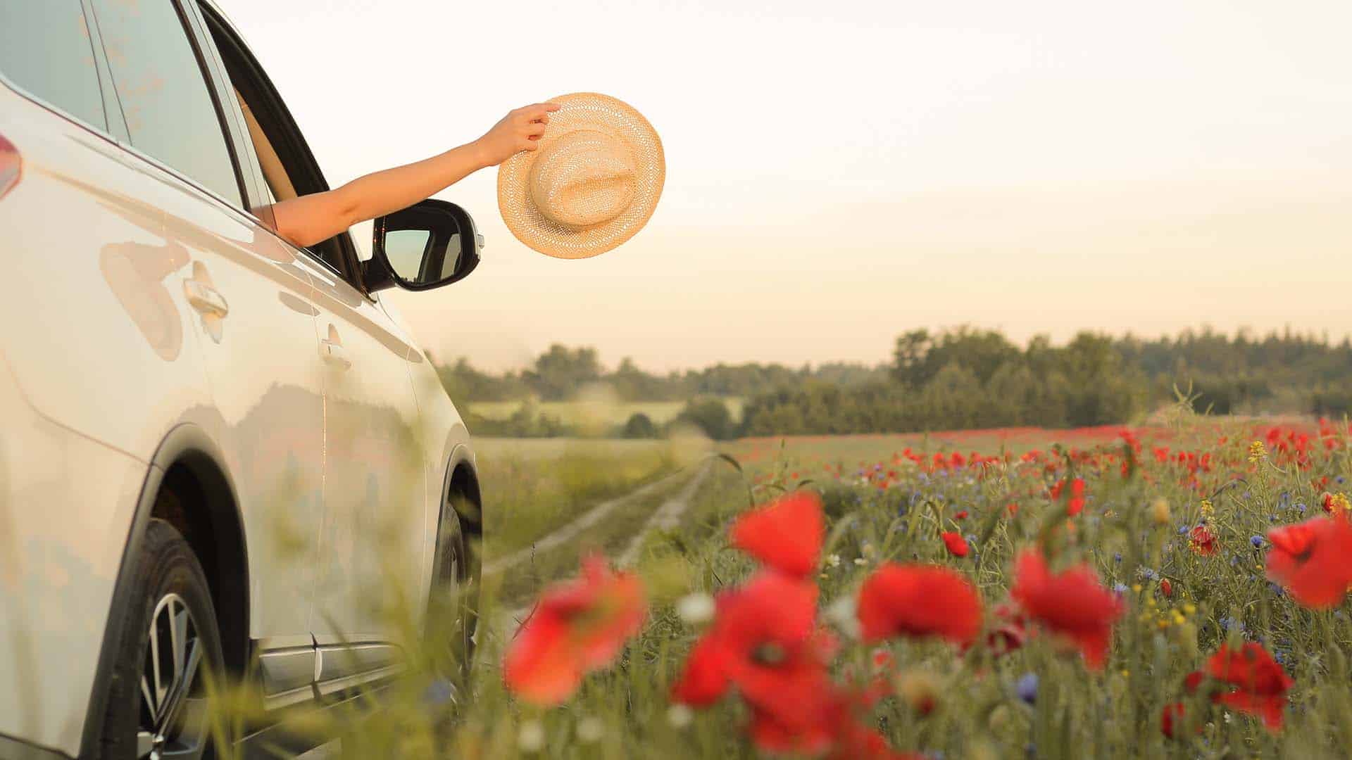 Spring is Approaching Make Sure Your Car is Ready Fivestar Autocentre