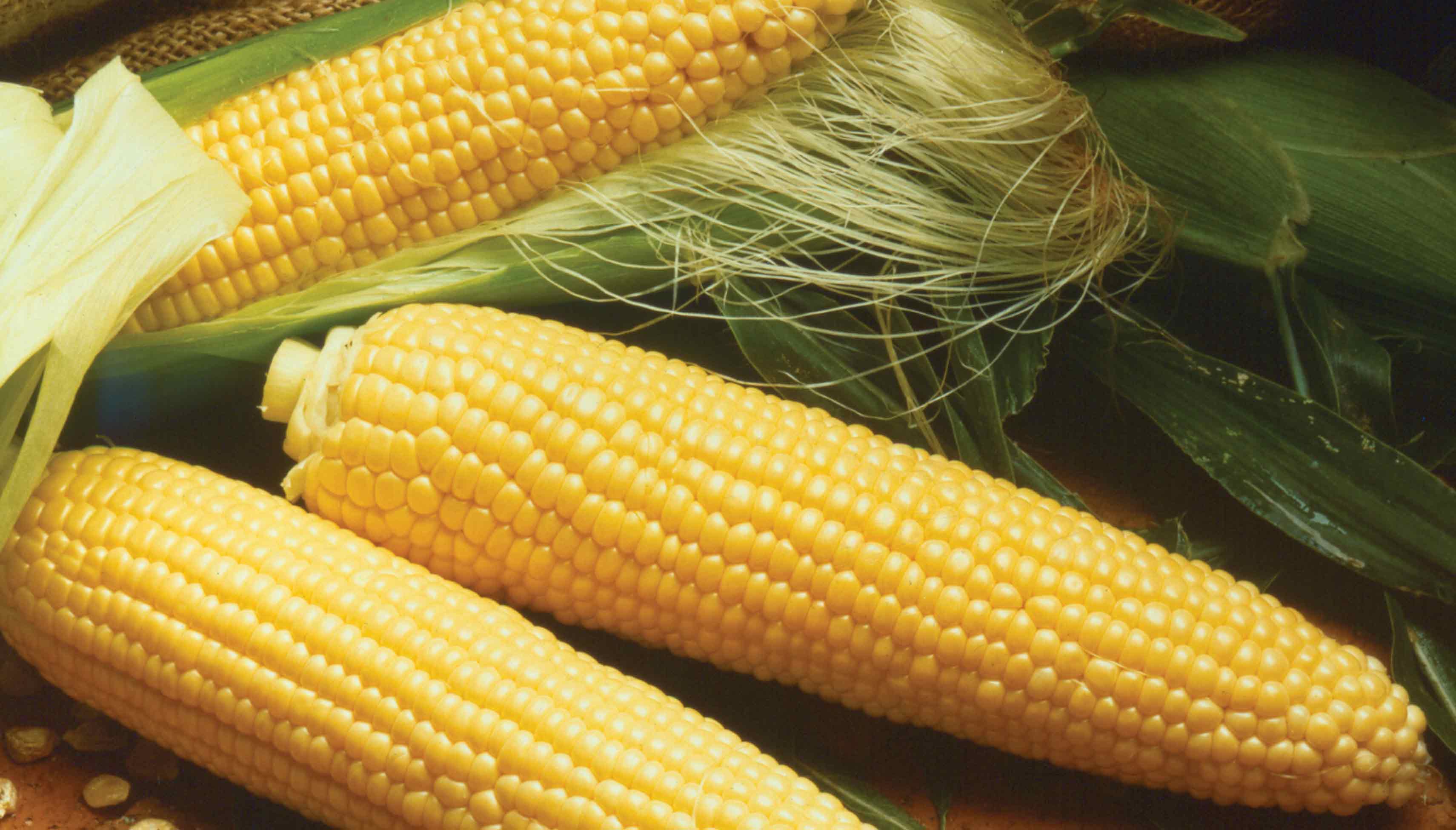 International Trade Five Star Group Lanka