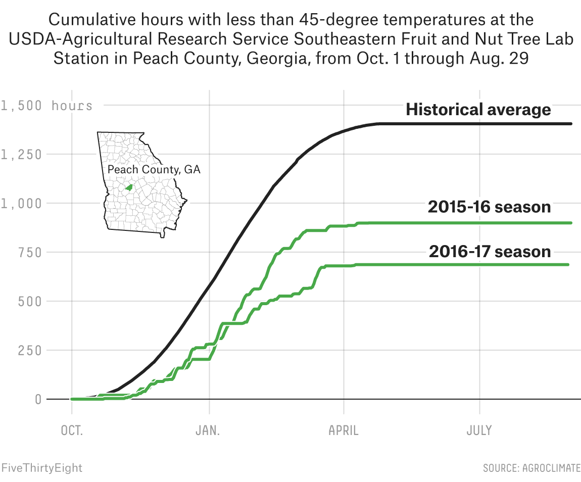 How A Warm Winter Destroyed 85 Percent Of Peaches