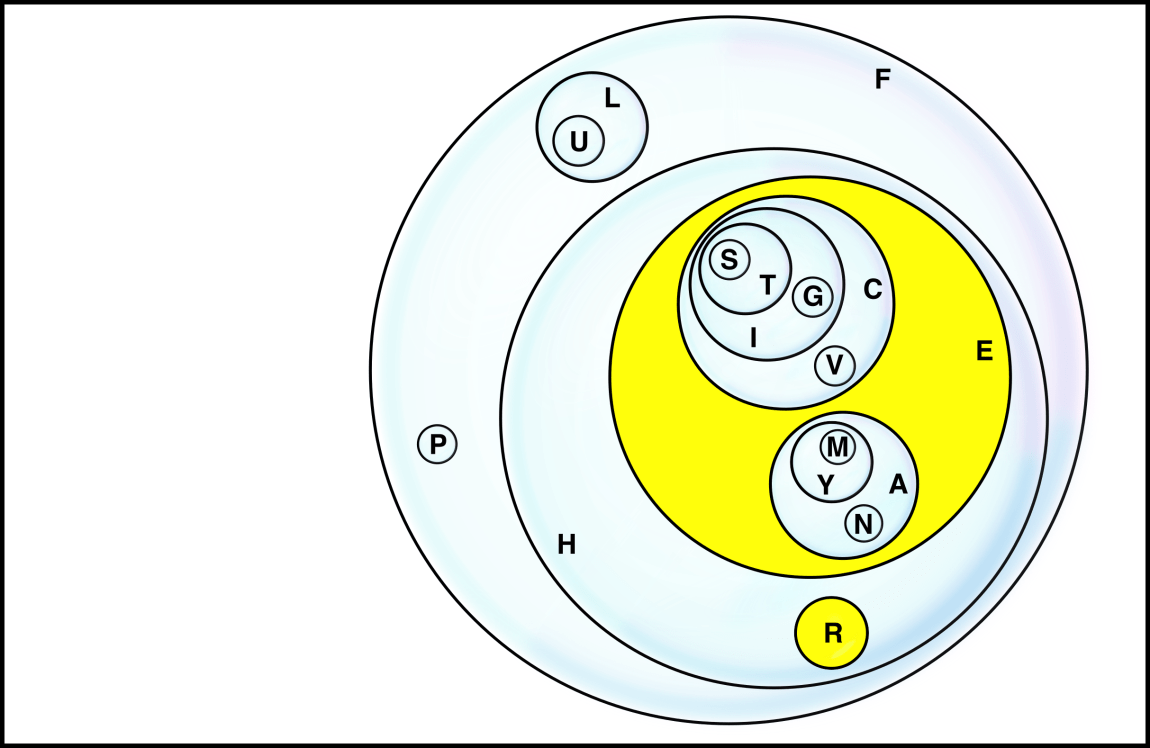 Can You Escape A Maze Without Walls? FiveThirtyEight