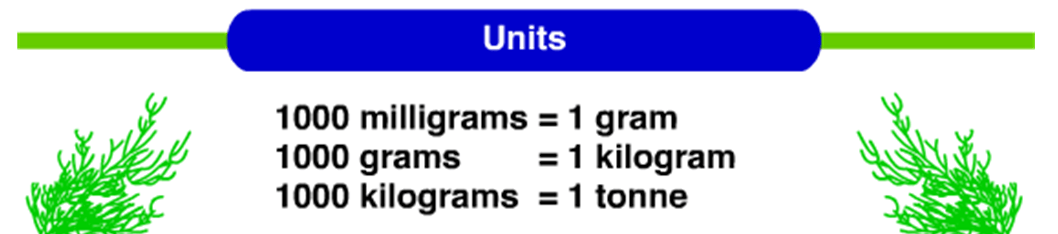 Mathematics | Five White's Class Blog | Page 2