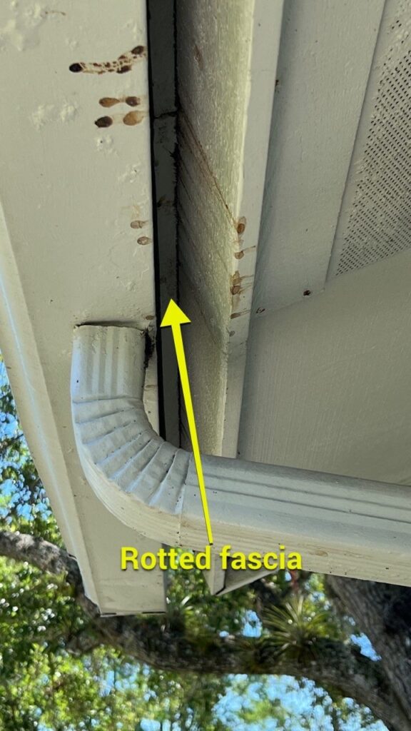 Benefits of Having a Professional Roof Inspection to Assess Storm Damage