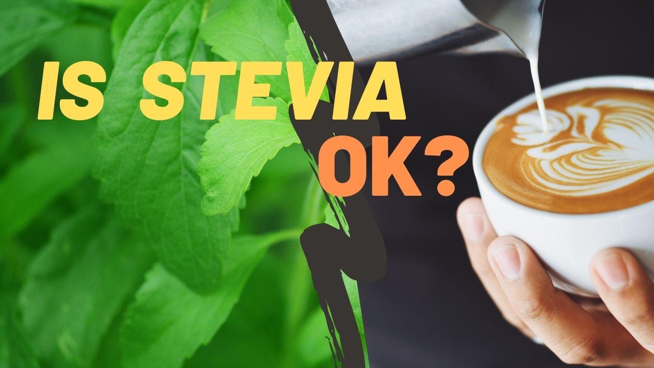 Is It Safe To Use Stevia For Fatty Liver As Sugar Substitute? Fatty