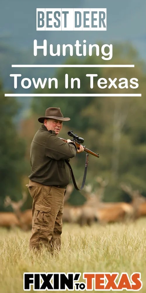 Best Deer Hunting Counties in Texas for Hunters Fixin Texas