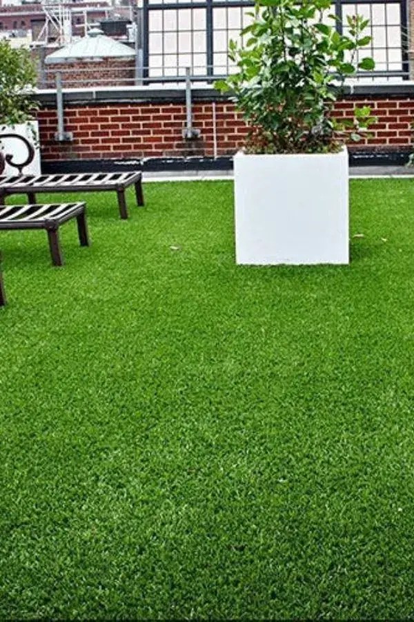 Quality Grass Carpet Dubai 1 Shop for Artifical Grass UAE