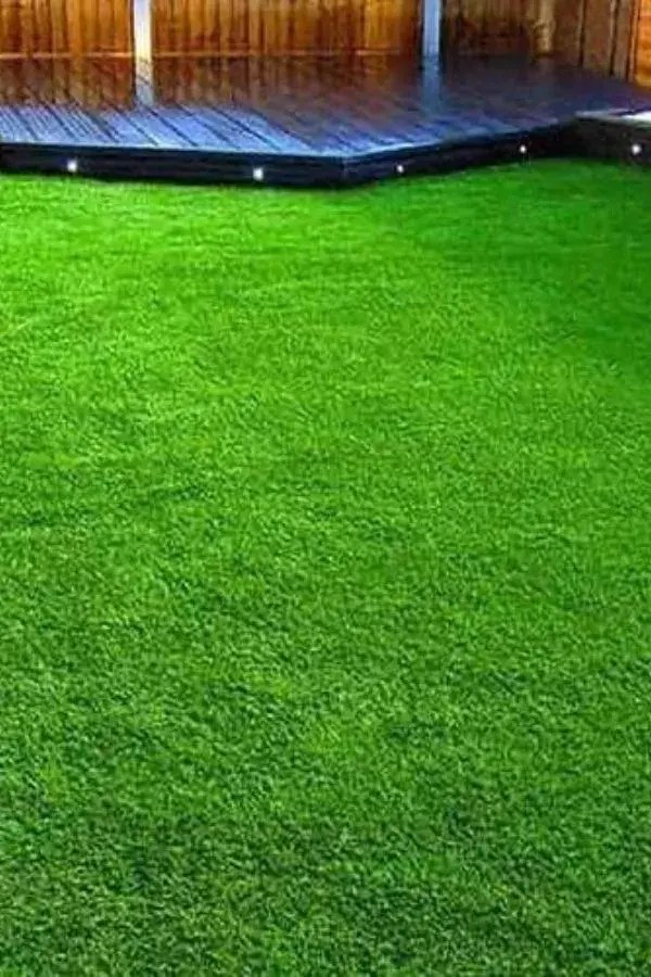 Quality Grass Carpet Dubai 1 Shop for Artifical Grass UAE