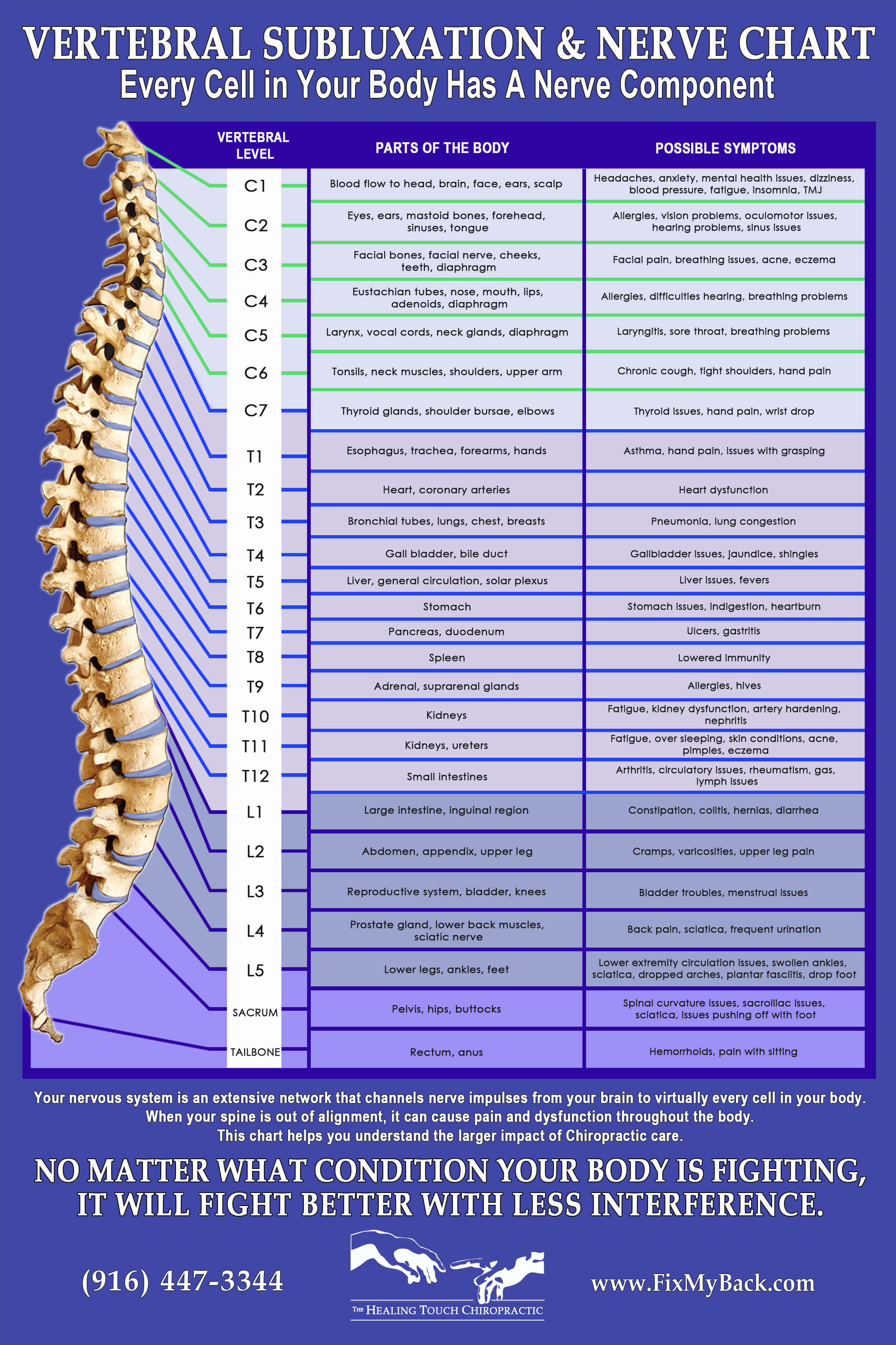 Nerve Chart Chiropractor in Sacramento, CA The Healing