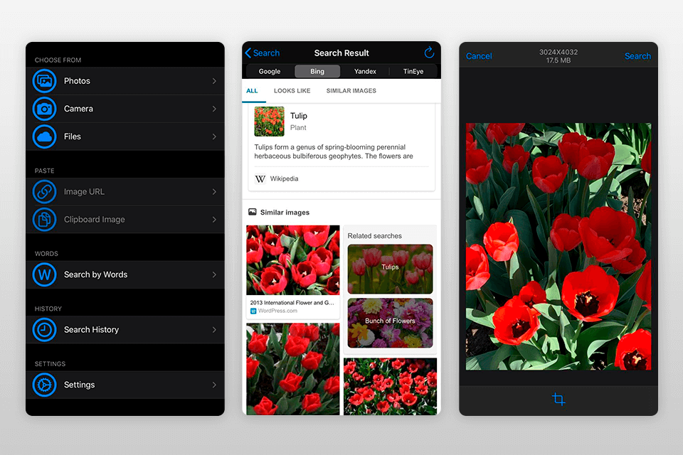 7 Best Reverse Image Search Apps in 2021 7 Best Reverse Image Search Apps in 2021