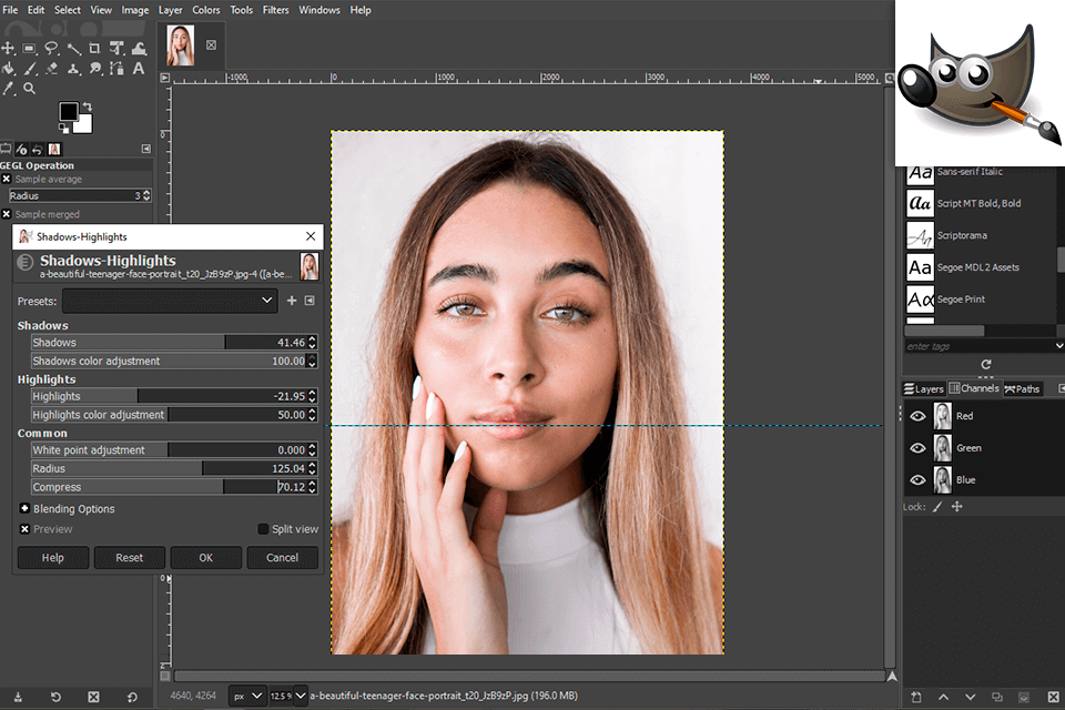 GIMP مقابل Illustrator ما البرنامج الأفضل؟