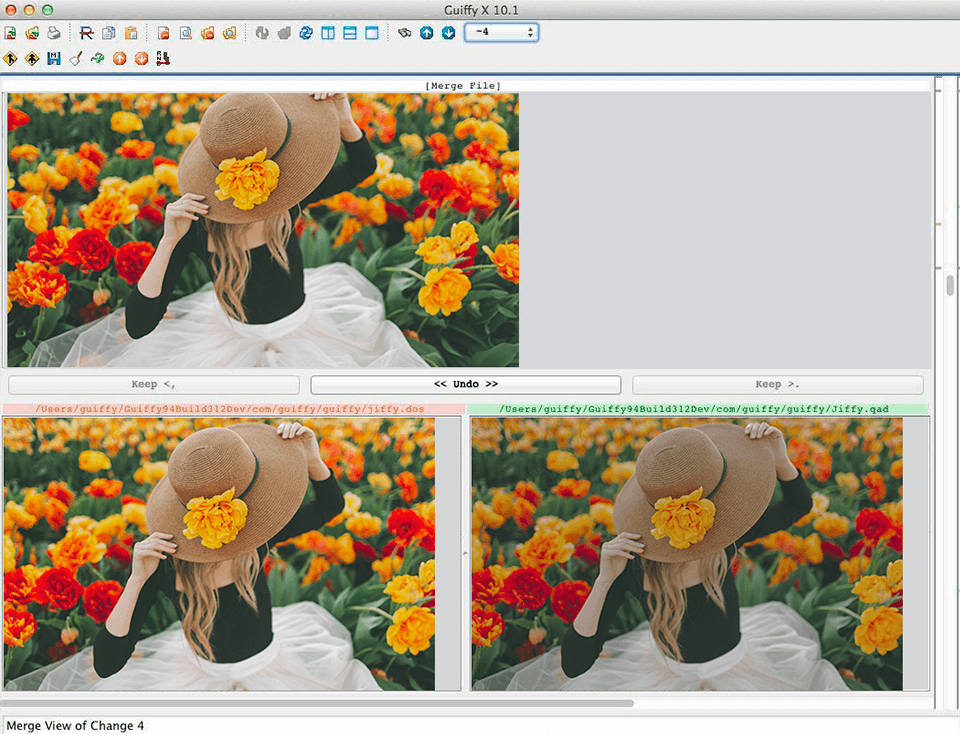12 Best Image Comparison Software in 2024
